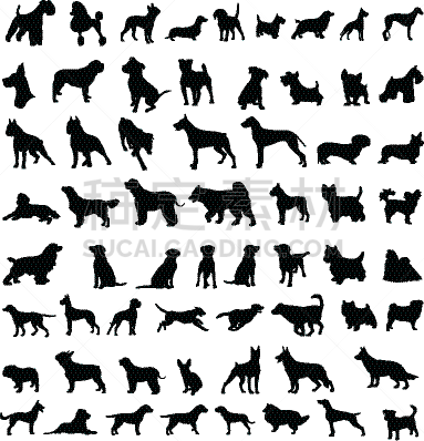 狗,斯班尼犬,矢量,犬科的,大丹狗,小狗,图像,德国牧羊犬,巴哥犬,美国斗牛梗