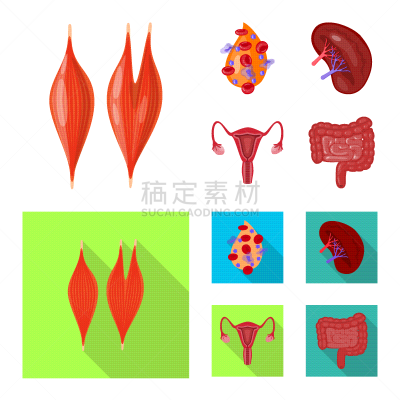 生物学,科学,计算机图标,静脉滴注,健康保健,植物群,空肠,顺序,设计,研究