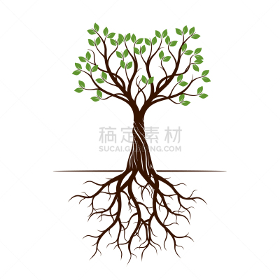 形状,彩色图片,根部,绿色,式样,华丽的,自然美,创造力,树,复古