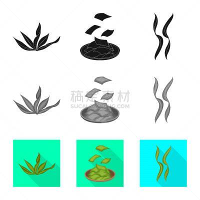 海洋,品牌名称,豆腐,式样,蔬菜,素食,食品,营养品,维生素,收集