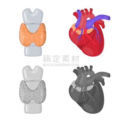 生物学,科学,计算机图标,背的，脊的,分离着色,健康保健,人,身体受伤,设计,收集