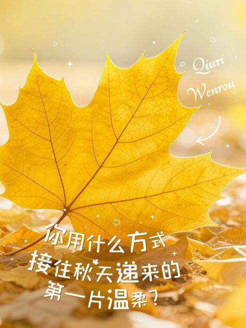 情感语录分享松弛感实景图文排版小红书封面预览效果