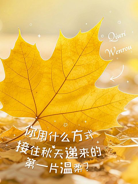 情感语录分享松弛感实景图文排版小红书封面