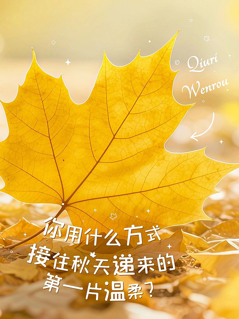 情感语录分享松弛感实景图文排版小红书封面