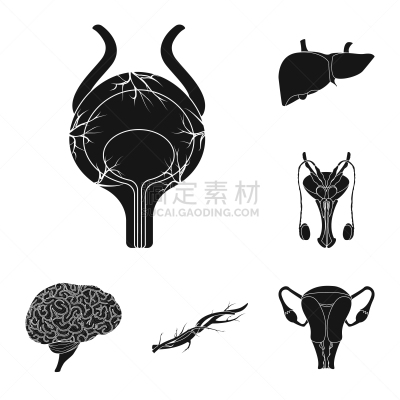 人,分离着色,图标集,人造物,人类的生殖器官,尿道,膀胱