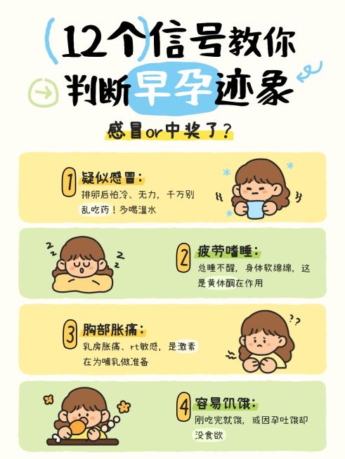 孕产母婴孕期干货早孕症状可爱插画小红书配图预览效果