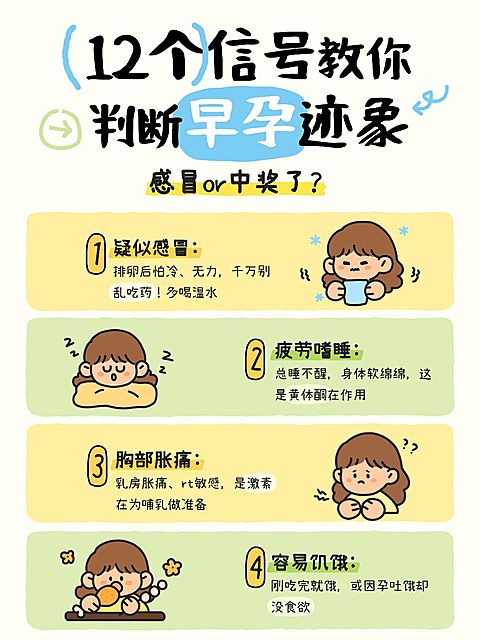 孕产母婴孕期干货早孕症状可爱插画小红书配图