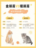 模板缩略图