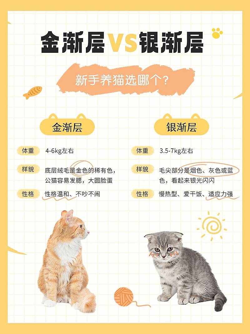 宠物知识科普小红书配图