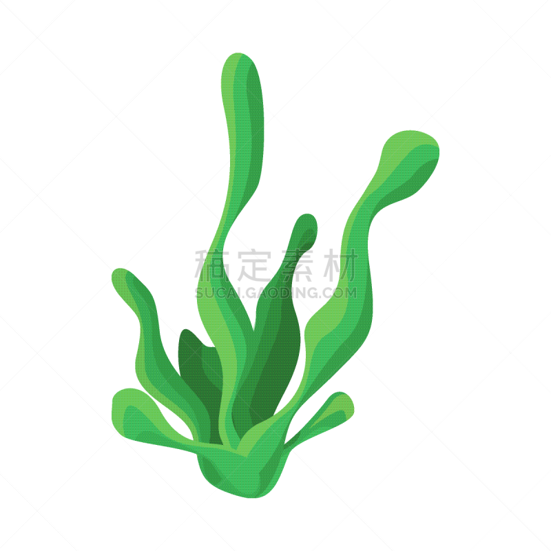 珊瑚,分离着色,海草,符号,一个物体,野生动物,植物群,水下,生长,除草