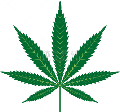 叶子,品牌名称,图标,商务,自然,健康保健,草本