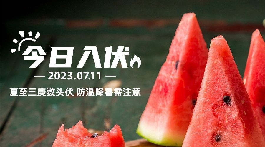 初伏入伏三伏天夏季实景横版海报预览效果
