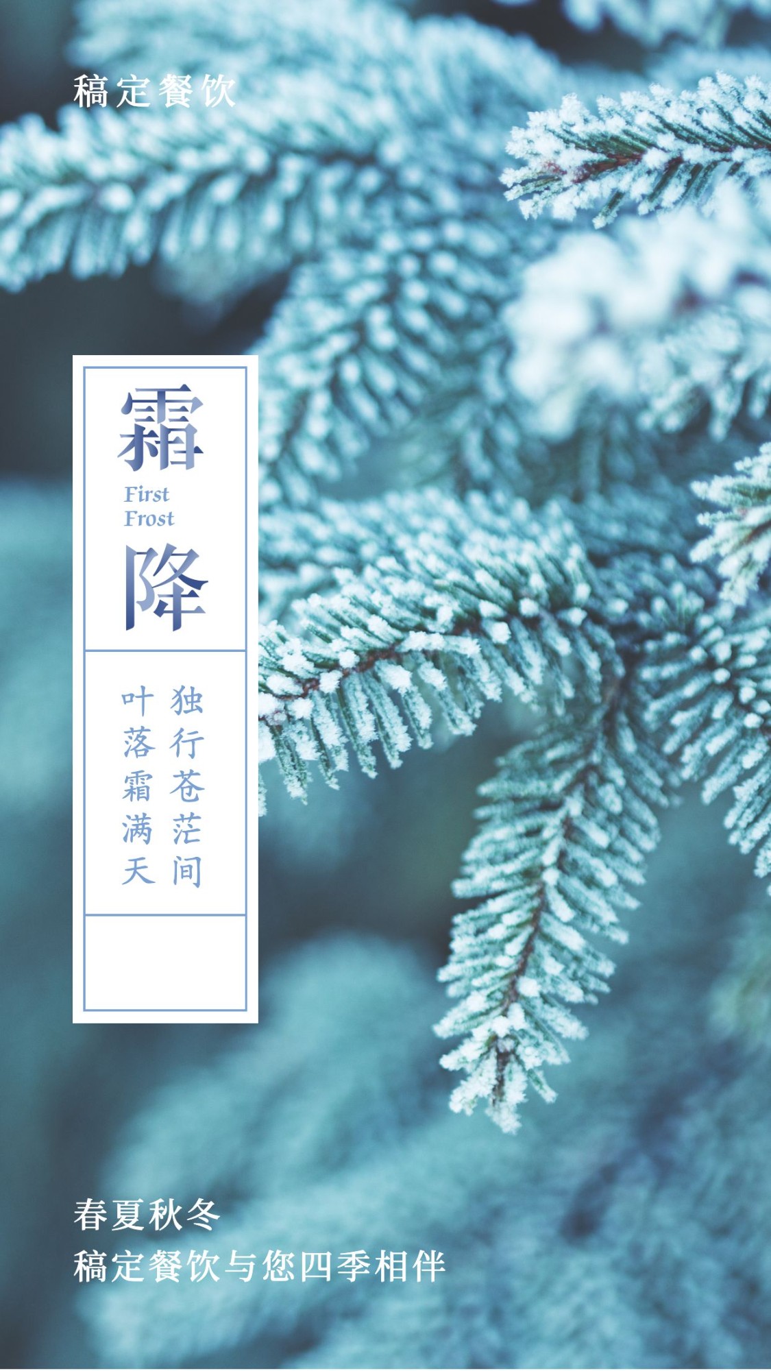霜降二十四节气祝福问候文艺实景手机海报