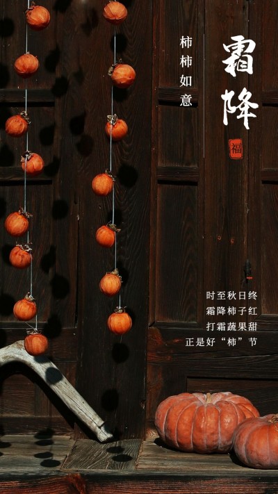霜降节气祝福赏菊吃柿子寓意