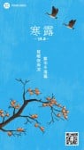 模板缩略图