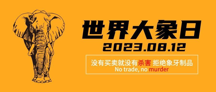 世界大象日动物保护手绘公众号首图预览效果