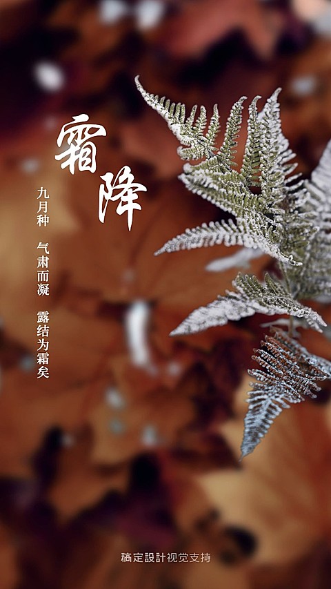 霜降实景祝福