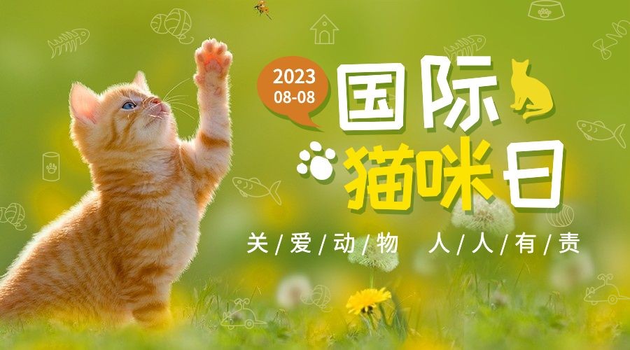 国际猫咪日关爱动物公益宣传清新实景广告banner