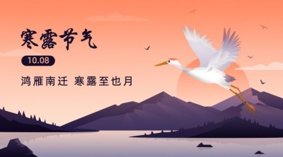 寒露节气祝福白鹭手绘横版海报