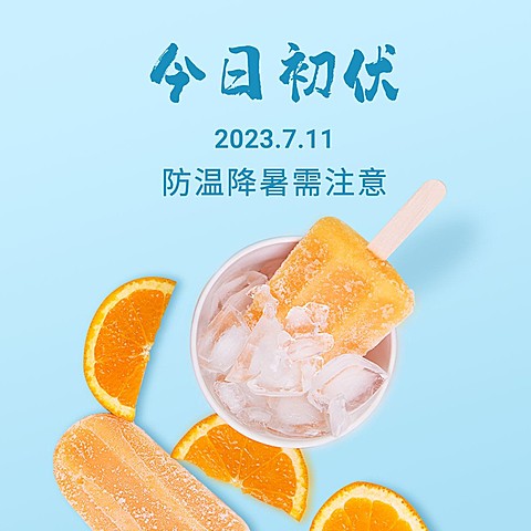 初伏入伏三伏天夏季实景方形海报