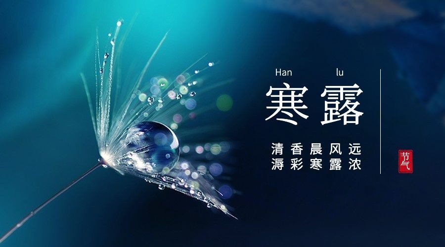 寒露节气祝福问候露珠枫叶横版海报预览效果