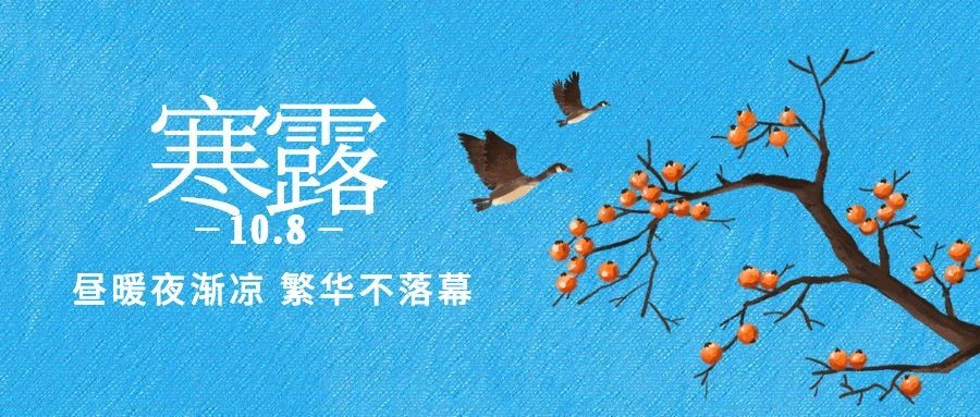 寒露节气祝福问候柿子水彩首图预览效果