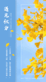 模板缩略图