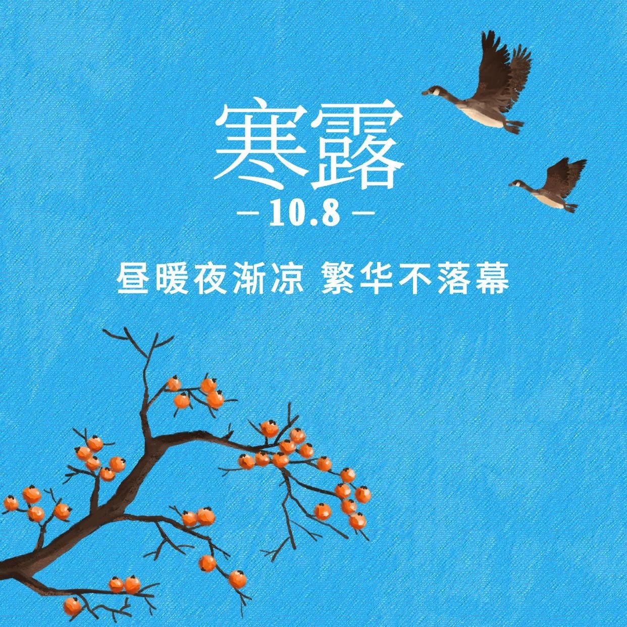 寒露节气祝福问候柿子水彩方形海报预览效果