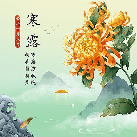 寒露节气祝福问候菊花手绘方形海报