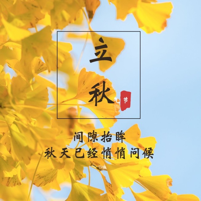 立秋节气祝福秋天实景方形海报预览效果