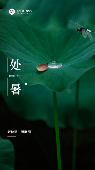 处暑节气祝福排版手机海报预览效果