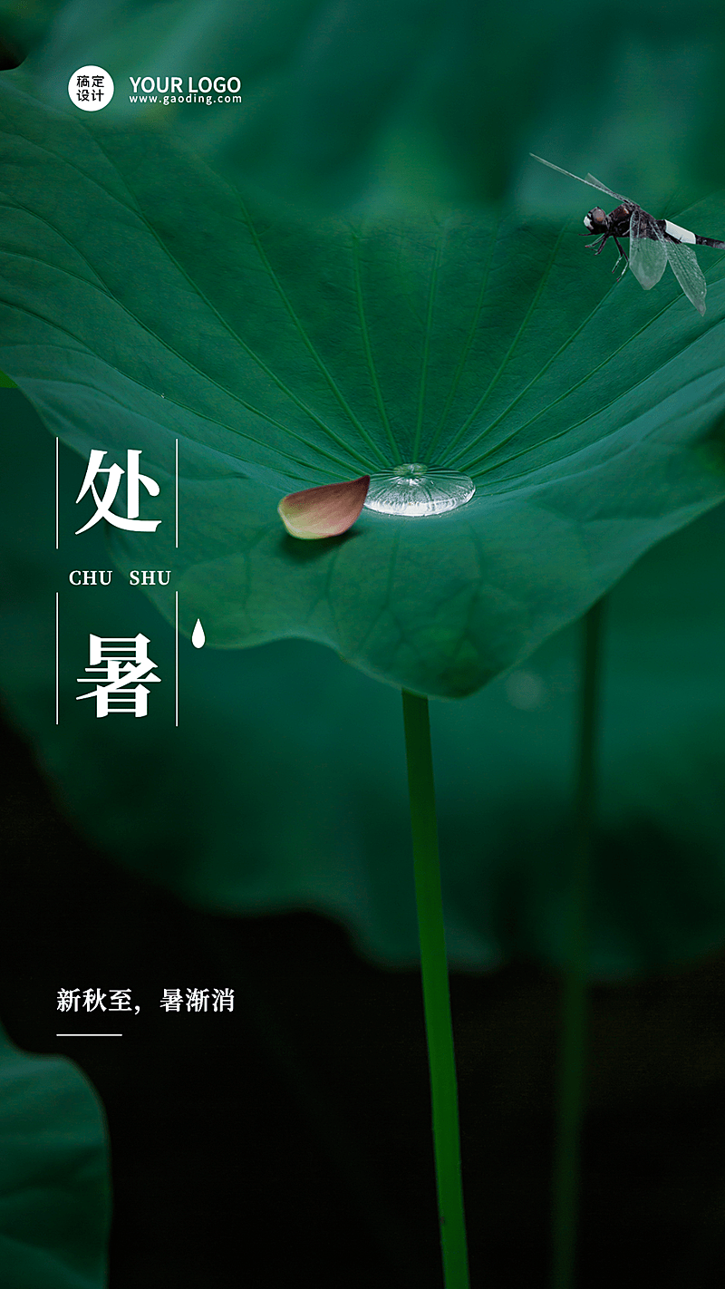 处暑节气祝福排版手机海报