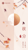 模板缩略图