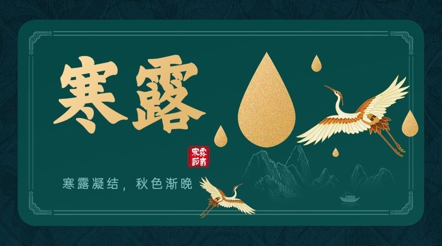 寒露节气祝福问候手绘白鹭横版海报预览效果