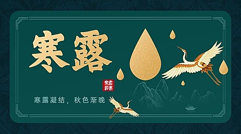 寒露节气祝福问候手绘白鹭横版海报