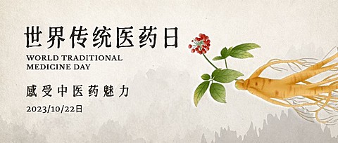 世界传统医药日中医药公众号首图