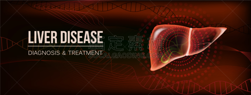 胆囊,暗色,红色,肝脏,肝炎,胆汁,人,写实,硬化
