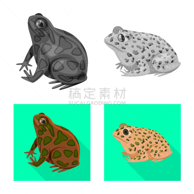 野生动物,藓沼,标志,人类腺体,红色,粉色,绿色,褐色,设计,布置