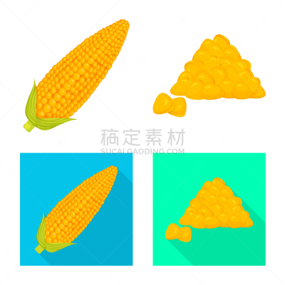 蔬菜,品牌名称,农业,热,食品,熟的,成分,农场,设计,布置