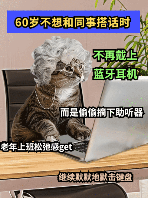 猫meme趣味玩梗小红书动态封面AIGC预览效果