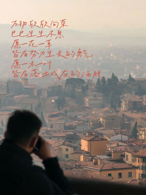 春节诗歌文案语录小红书封面预览效果