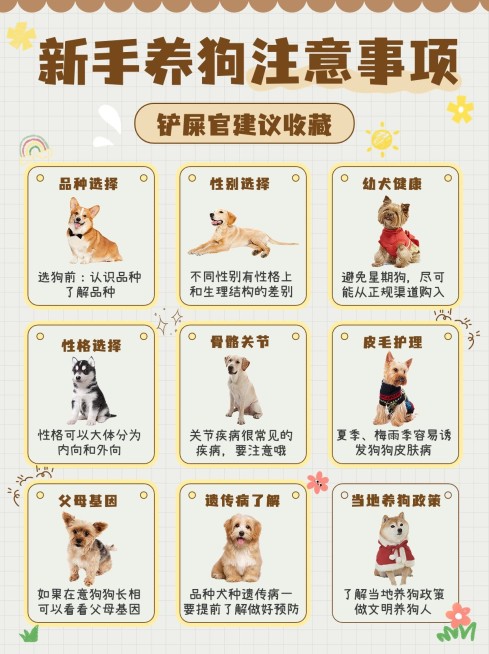 宠物知识科普小红书配图预览效果