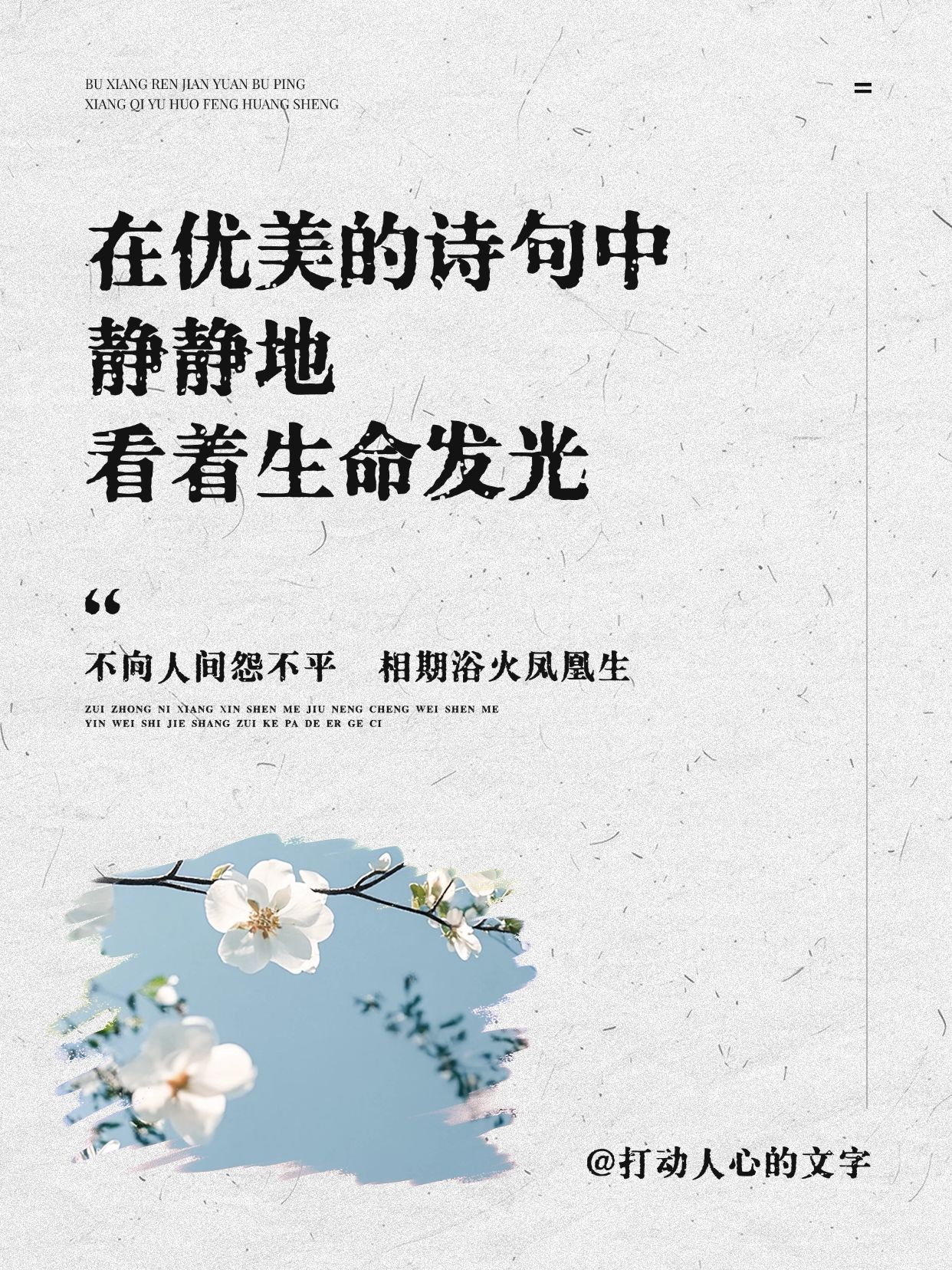 情感文案语录图框排版小红书配图aigc