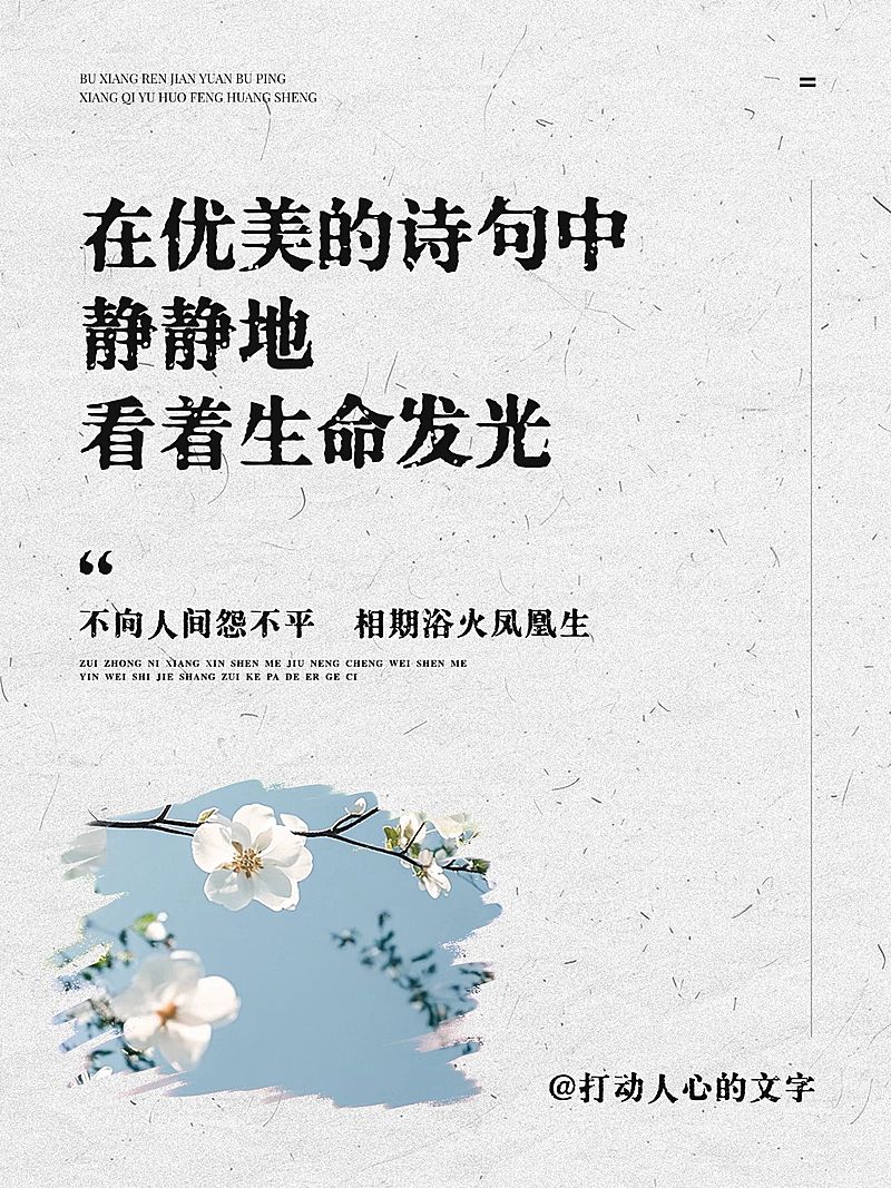 情感文案语录图框排版小红书配图aigc