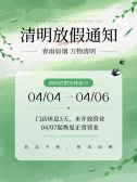 模板缩略图