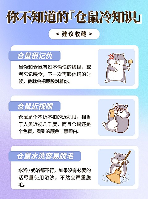 宠物知识科普小红书配图