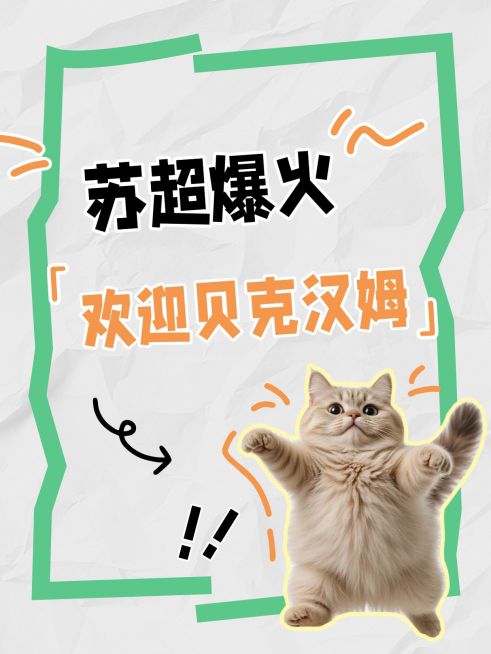 苏超联赛爆款吸睛大字趣味表情包梗图小红书封面aigc预览效果