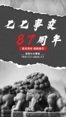 模板缩略图