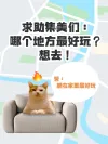搞笑图片视频