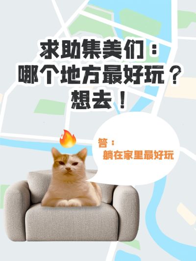 旅游趣味玩梗猫咪表情包小红书封面aigc